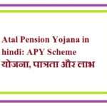 Atal Pension Yojana in hindi: APY Scheme योजना, पात्रता और लाभ