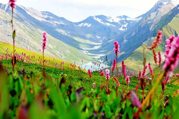 Valley of Flower | Phulo Ki Ghati